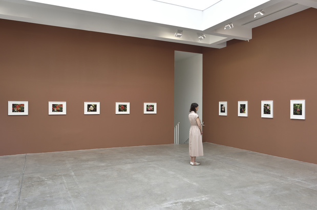 Galerie marian goodman 1 medium