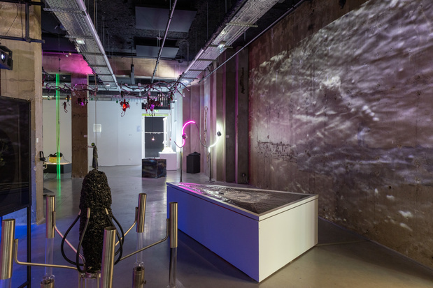 Cwb centre wallonie bruxelles exposition 14 1 medium