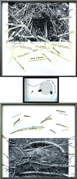 Martine mougin sylvie reymond lepine triptyque2 1 medium