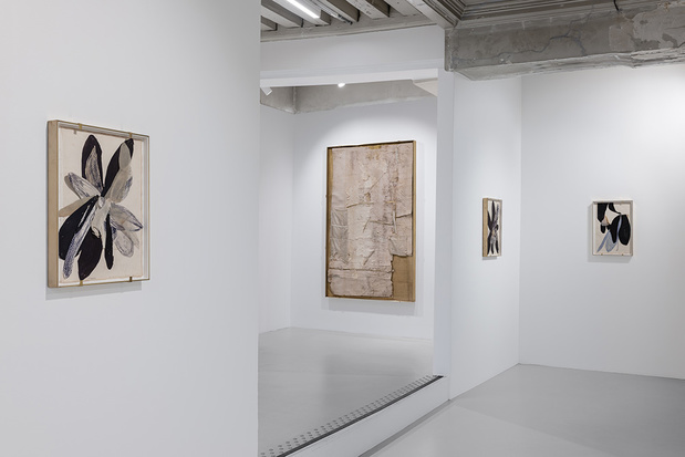 Galleria continua exposition 14 1 medium