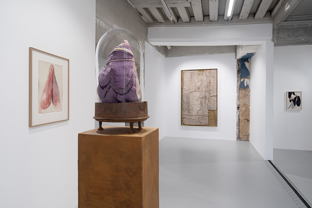 Galleria continua exposition 15 1 medium