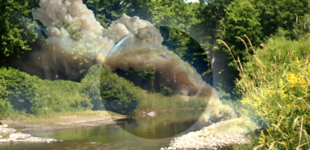 Rachel rose 1 medium