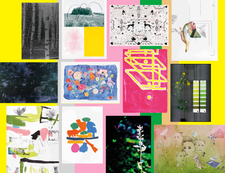 Artothèques en ruralités, Natures diverses, une commande d’estampes lancée par le Cnap