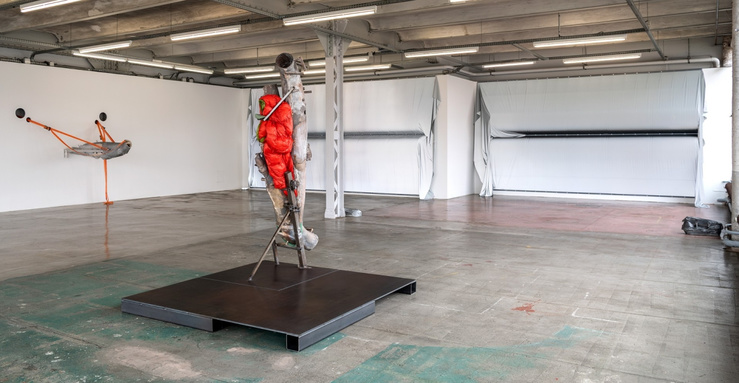 Vue de l’exposition « ROSE TRRACTION » de June Crespo. VASCULAR (3), 2024 ; Molar (II), 2025 ; Parentescos, 2025