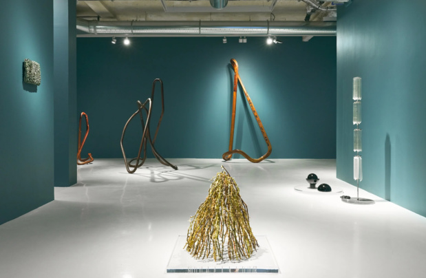 Nika project space exposition 13 medium