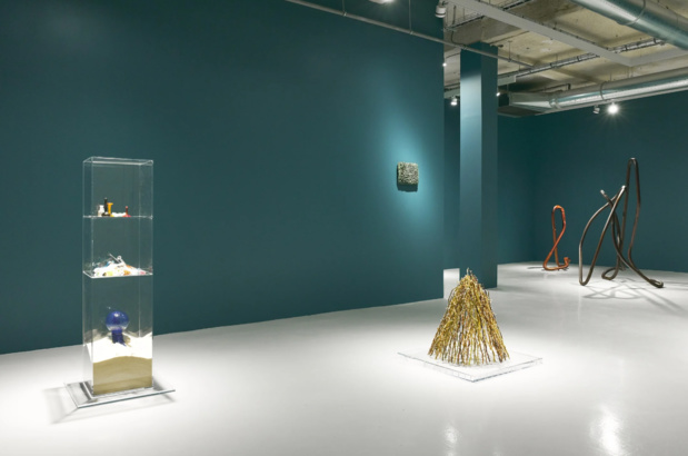 Nika project space exposition 14 medium