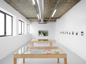 Galerie air de paris gb jones 13 small2