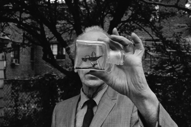 Gagosian wes anderson 2 medium