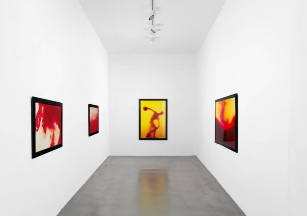 Galerie nathalie obadia exposition 14 medium