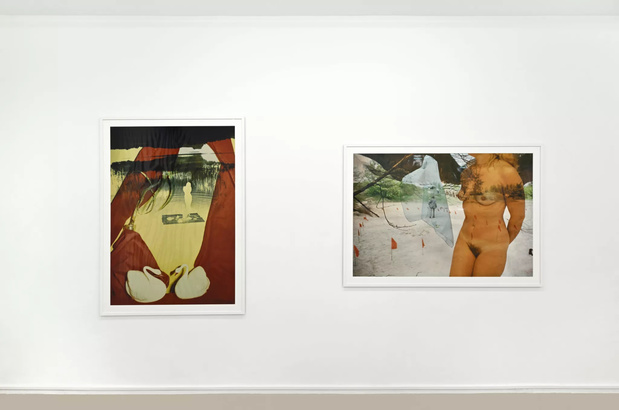 Galerie suzanne tarasieve exposition 14 medium