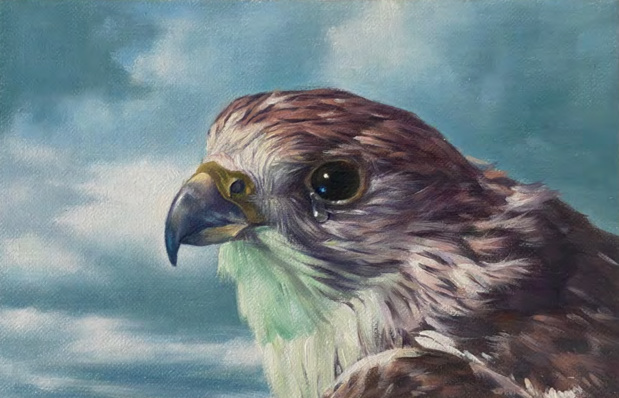 Galerie loevenbruck robert devriendt 15 1 medium