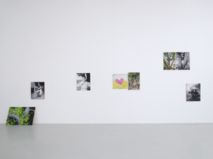 Vue de l’exposition Antoine Bertron, Terrains en partage, Pontault-Combault, 2026