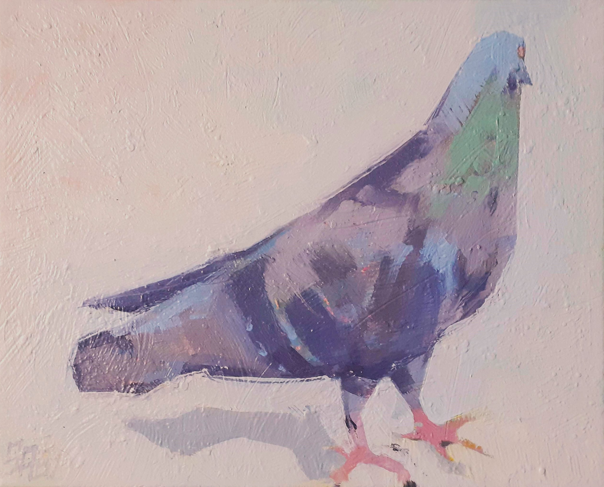 Didier saby peintre pigeon scaled 1 original