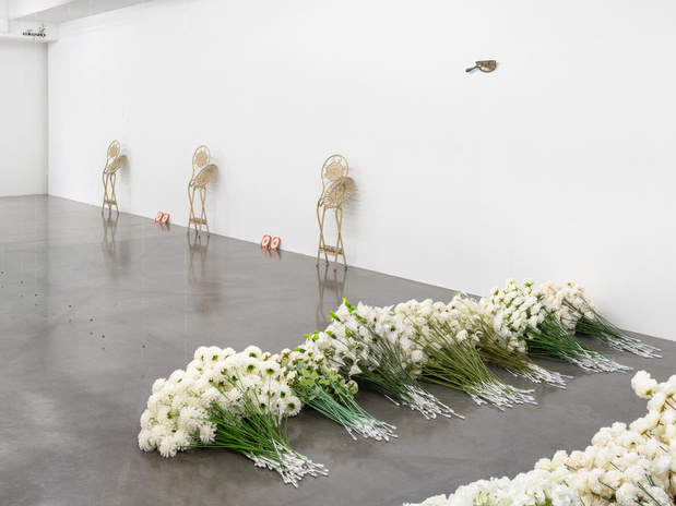 Exposition le plateau ruoxi jin 1 1 medium