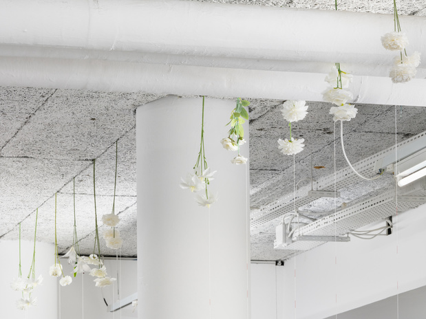 Exposition le plateau ruoxi jin 14 1 medium