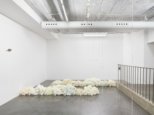 Exposition le plateau ruoxi jin 17 1 medium