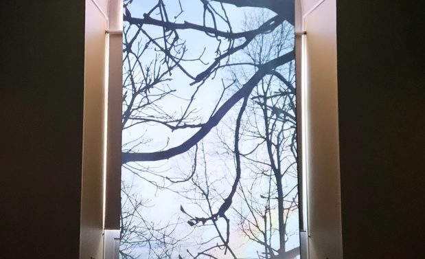 Louvre mohamed bourouissa expo 1 medium