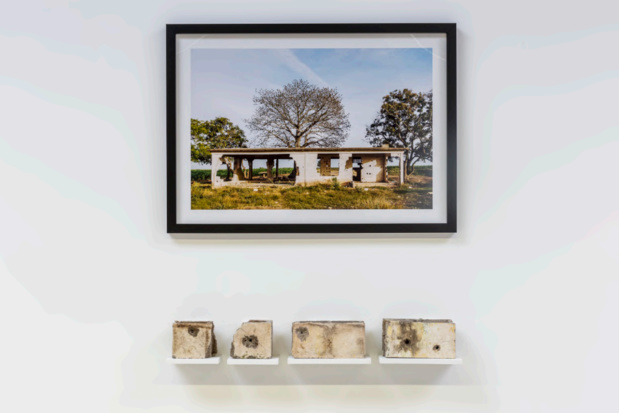 Zoo galerie frac pays de loire 14 medium