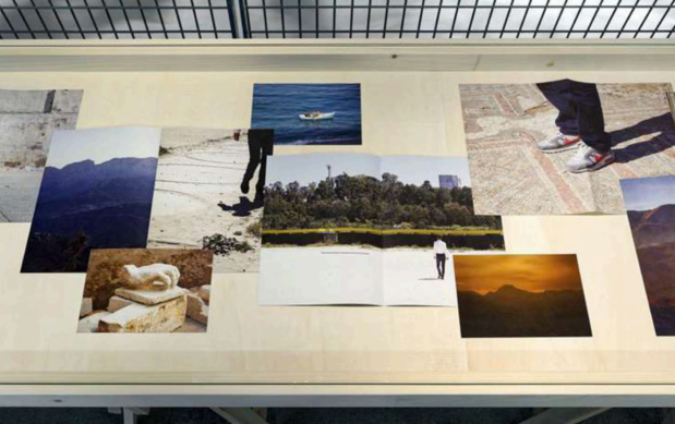 Zoo galerie frac pays de loire 16 medium