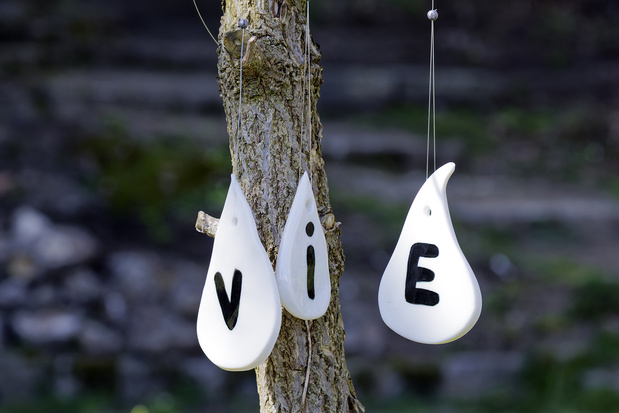 Jardiner les seuils — Espace d’art contemporain Camille Lambert, Juvisy-sur-Orge