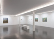 Xippas exposition paris chechu alava 13 grid