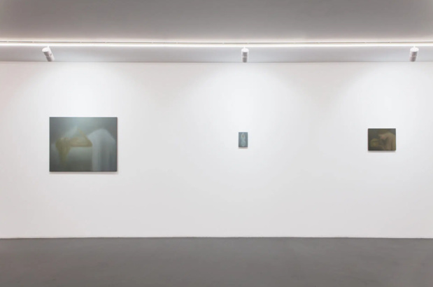 Xippas exposition paris chechu alava 15 medium