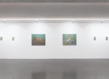 Xippas exposition paris chechu alava 16 grid