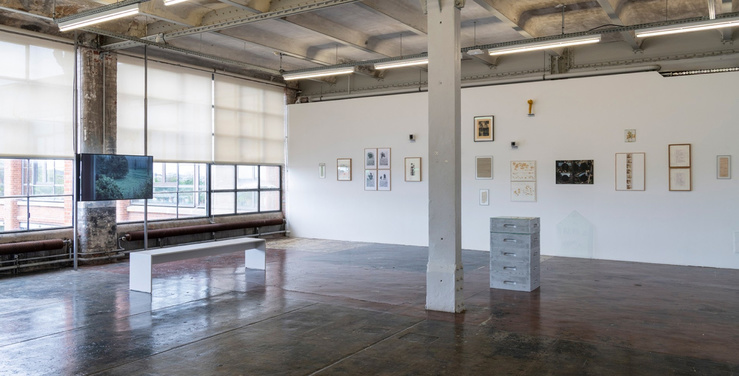 Vue de l’exposition Sambucus nigra de Pierre Creton