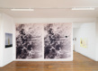 Centre d art passages troyes contemporain louisa babari 13 1 grid