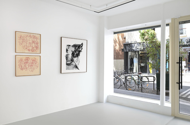 Galerie catherine putman exposition 15 medium