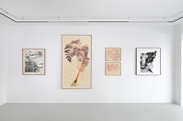Galerie catherine putman exposition 16 medium