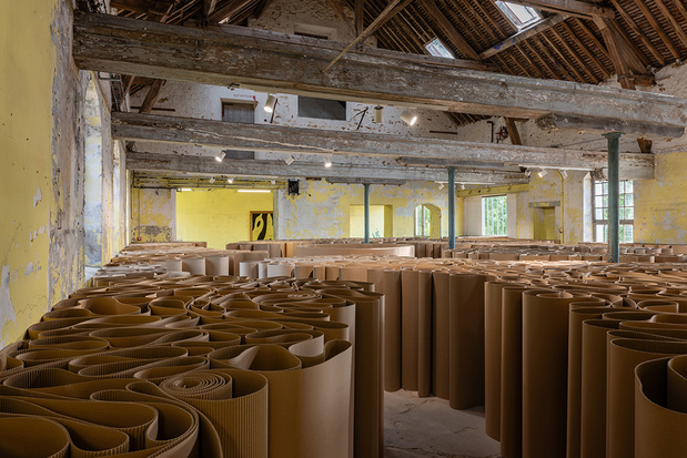 Galleria continua exposition 16 medium