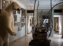Musée de la Chasse et de la Nature